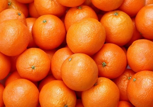 تصویر 2 از قیمت پرتقال شیرین جنوب با کیفیت ارزان + خرید عمده